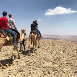 Tsur tours - Israel private tours